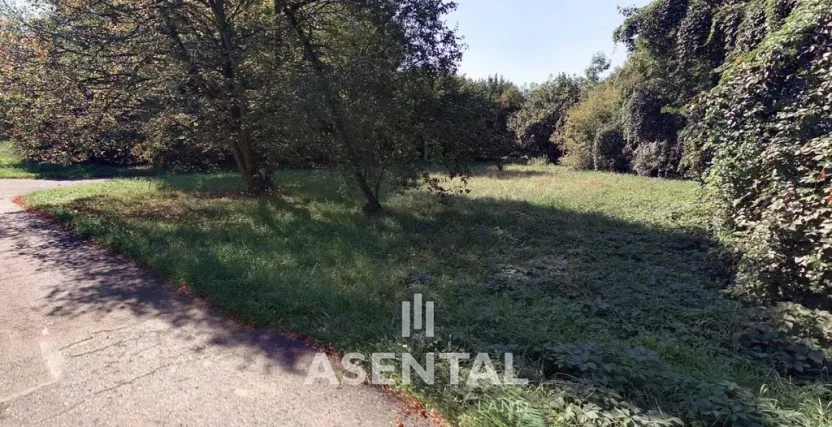 Prodej pozemku, Ostrava - Radvanice, Na Hrázkách, 12371 m2