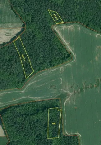 Prodej lesa, Lipí - Kaliště u Lipí, 23659 m2