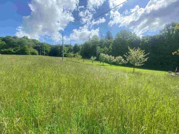 Prodej pozemku, Odry, 574 m2