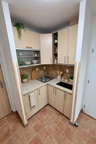 Pronájem bytu 2+kk, Praha - Bubeneč, Lotyšská, 44 m2