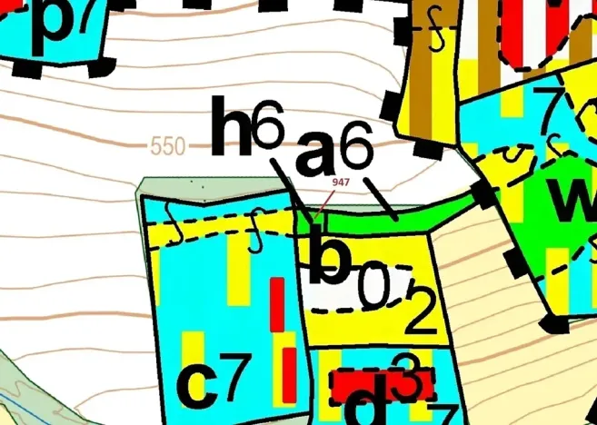 Dražba lesa, Nezdřev, 126 m2