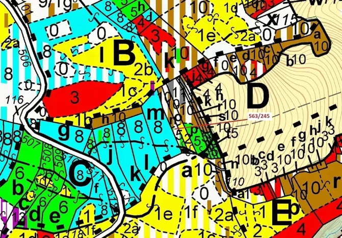 Dražba lesa, Spešov, 1009 m2