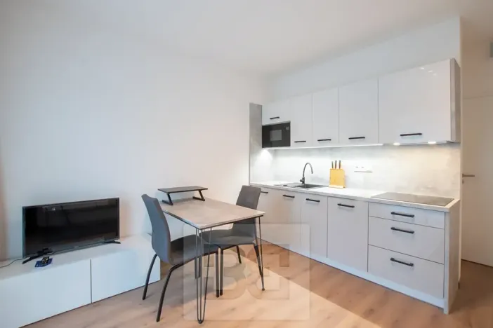 Pronájem bytu 1+kk, Tuchoměřice, V Kněžívce, 22 m2