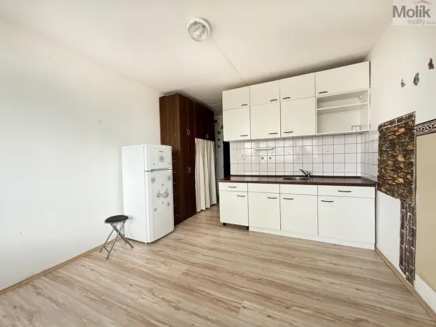 Pronájem bytu 1+kk, Most, U Věžových domů, 22 m2