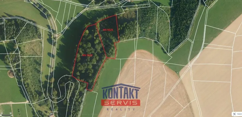 Prodej lesa, Libecina - Javorníček, 15596 m2