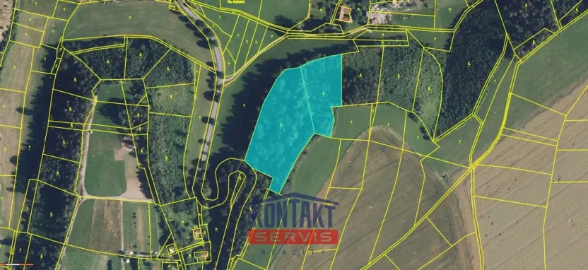 Prodej lesa, Libecina - Javorníček, 15596 m2