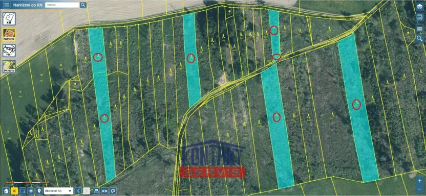 Prodej lesa, Letiny - Svárkov, 12818 m2