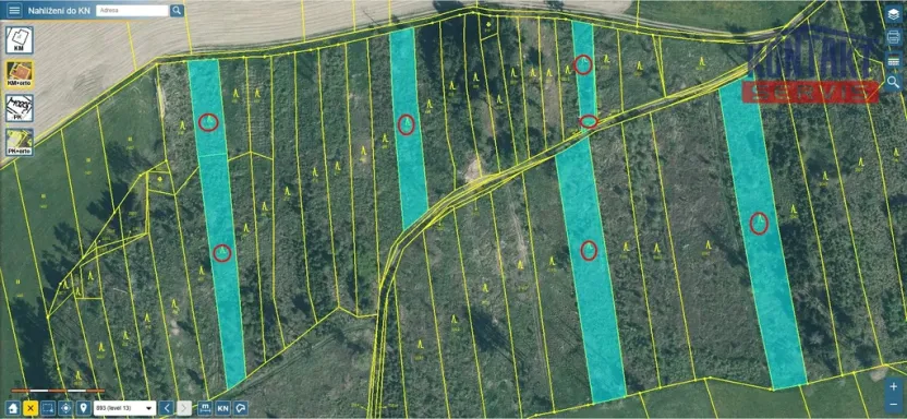 Prodej lesa, Letiny - Svárkov, 10142 m2