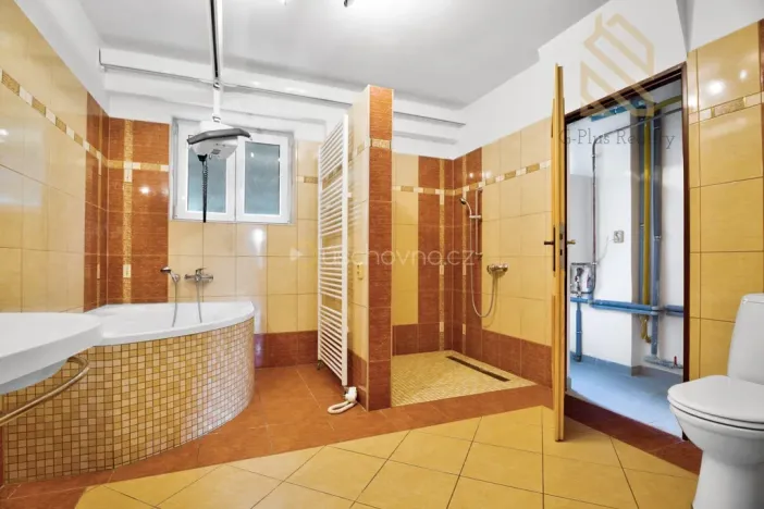 Pronájem bytu 2+kk, Litoměřice - Předměstí, Dykova, 55 m2