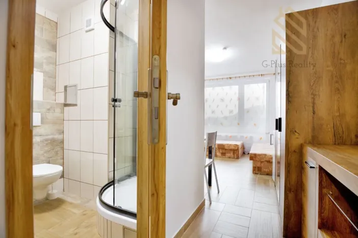 Pronájem bytu 1+kk, Ústí nad Labem - Ústí nad Labem-centrum, Čajkovského, 15 m2