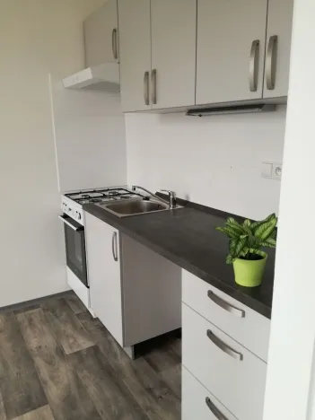 Prodej bytu 2+1, Ostrava - Zábřeh, Tarnavova, 45 m2