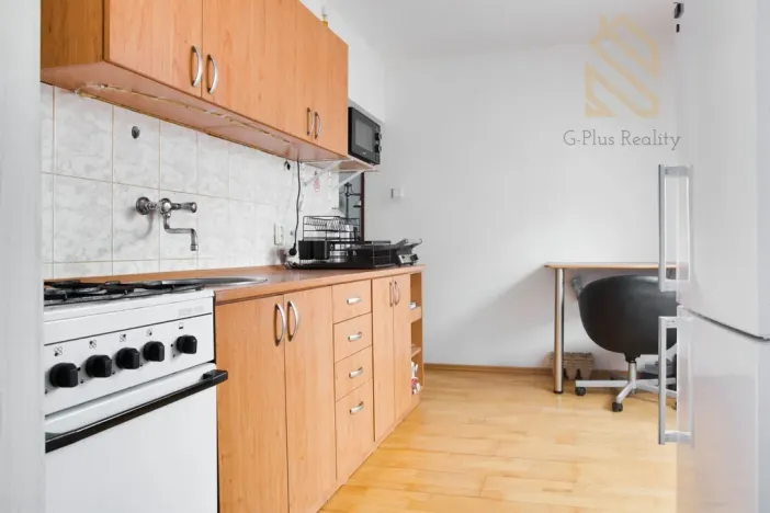 Pronájem bytu 2+1, Litvínov - Chudeřín, Horská, 38 m2