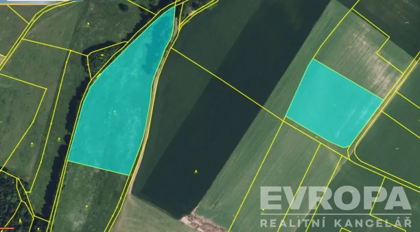 Prodej pole, Horní Branná, 29823 m2