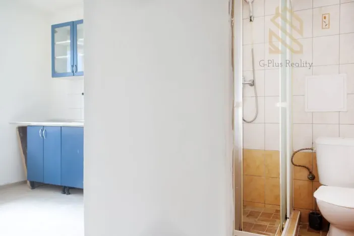 Pronájem bytu 1+1, Most, Lesní, 30 m2