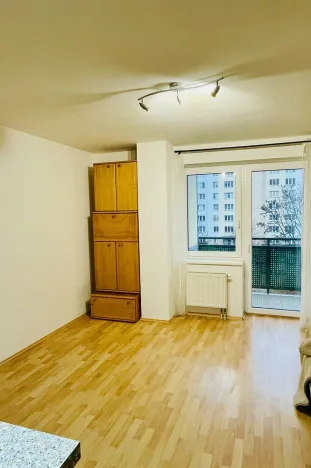 Pronájem bytu 1+kk, Brno - Líšeň, Molákova, 43 m2