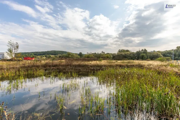 Pronájem výrobních prostor, Příbram - Příbram I, Dělostřelecká, 2099 m2