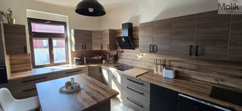 Prodej rodinného domu, Most, Jugoslávská, 452 m2