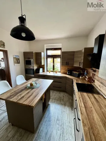 Prodej rodinného domu, Most, Jugoslávská, 452 m2