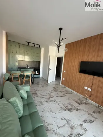 Prodej bytu 2+kk, Golem, 64 m2