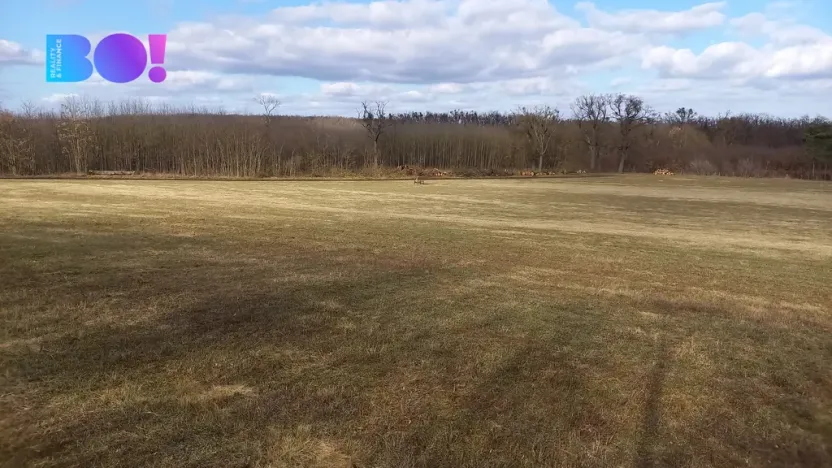 Prodej pole, Šanov, 61315 m2