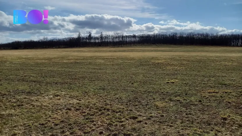 Prodej pole, Šanov, 61315 m2