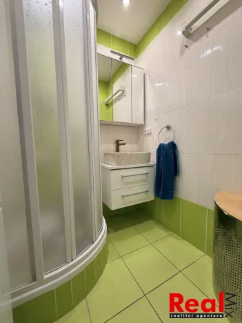 Prodej bytu 2+1, Brno - Žabovřesky, Mozolky, 51 m2