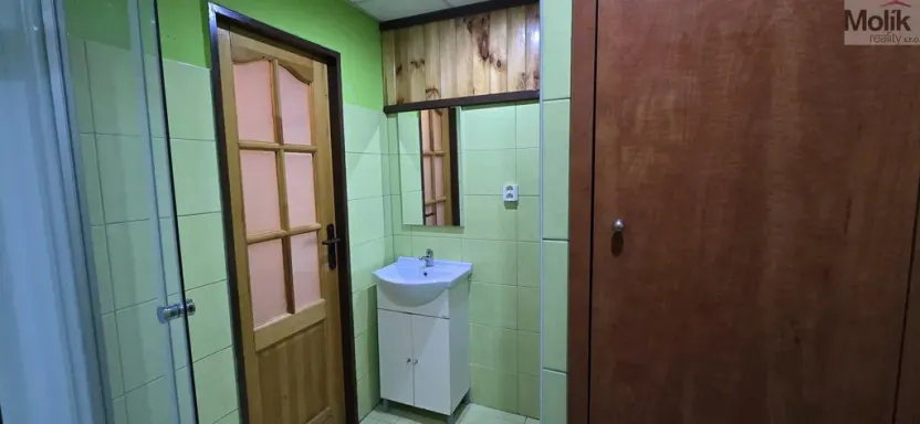 Prodej bytu 1+1, Litvínov - Horní Litvínov, Tylova, 37 m2