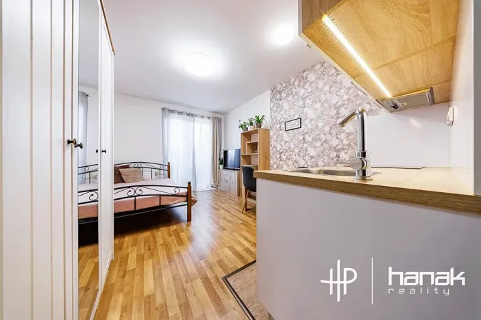 Prodej bytu 1+kk, Olomouc, Edvarda Beneše, 23 m2