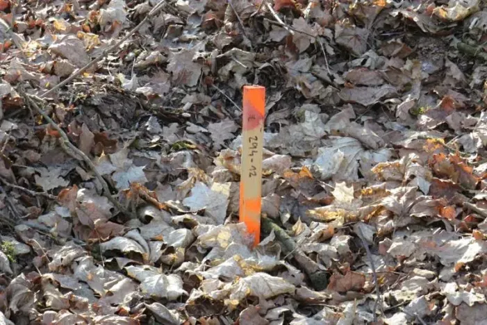 Prodej lesa, Čerčany, 394 m2