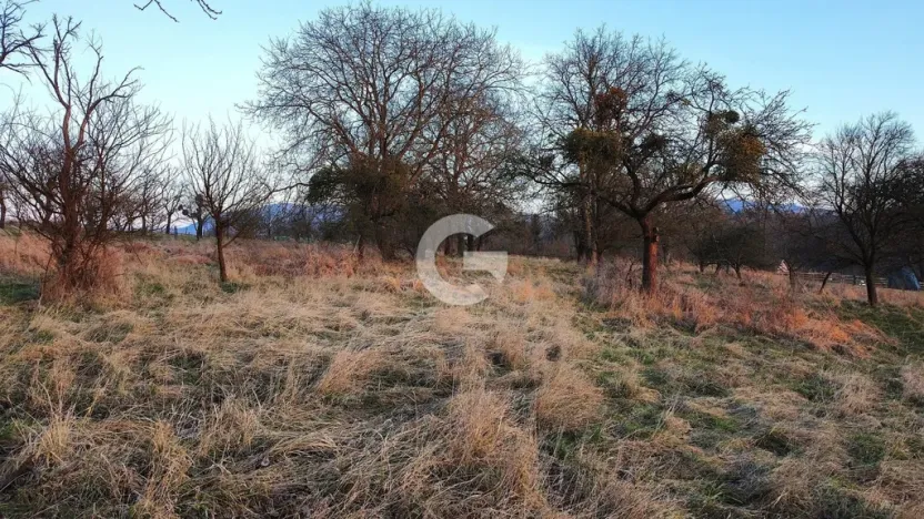 Prodej zahrady, Bystřice pod Hostýnem - Sovadina, 1840 m2