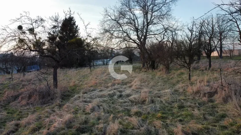 Prodej zahrady, Bystřice pod Hostýnem - Sovadina, 1840 m2