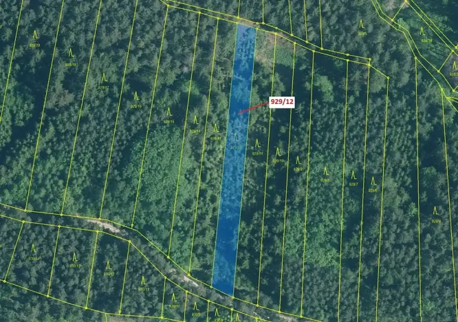 Dražba lesa, Hosty, 1517 m2