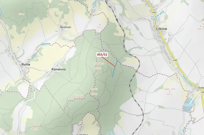 Dražba lesa, Nová Hradečná, 12014 m2