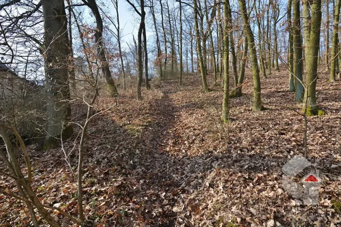 Prodej zahrady, Brno, Turistická, 207 m2