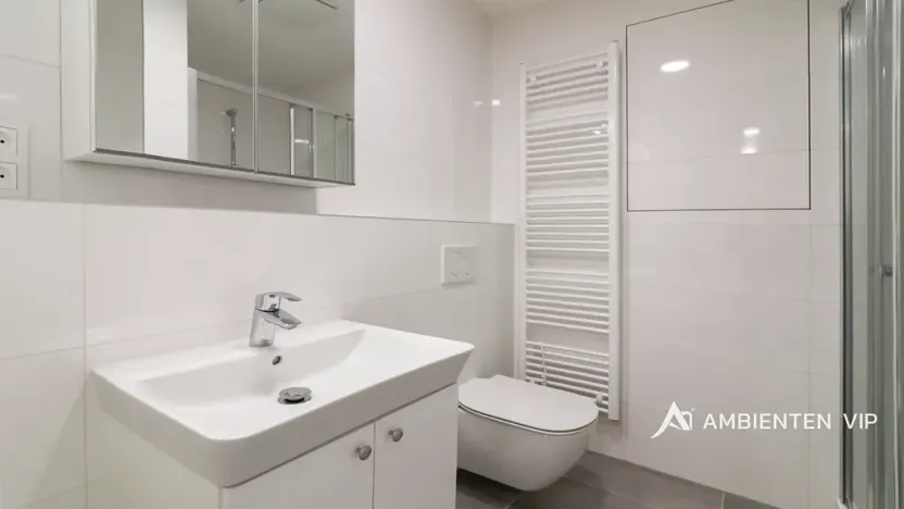 Pronájem bytu 1+kk, Brno, Ondřeje Sekory, 41 m2