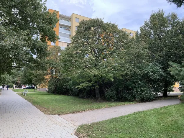 Pronájem obchodního prostoru, Brno - Židenice, Čejkovická, 16 m2