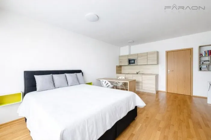 Prodej bytu 1+kk, Praha - Žižkov, Olšanská, 46 m2