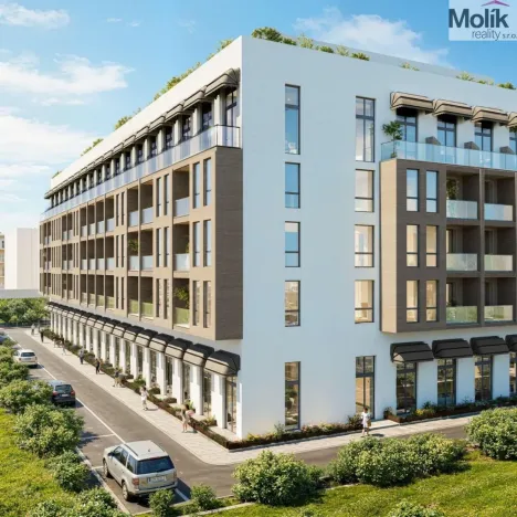 Prodej bytu 2+kk, Golem, 62 m2