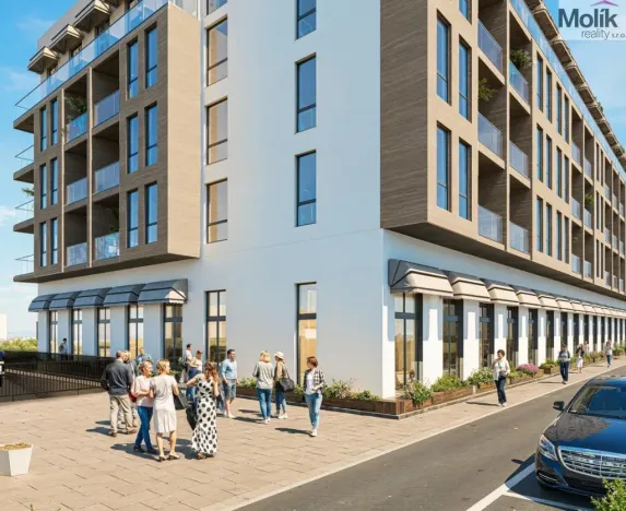 Prodej bytu 2+kk, Golem, 62 m2