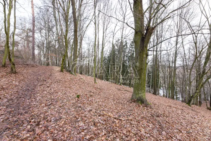 Prodej lesa, Velké Popovice, 19731 m2