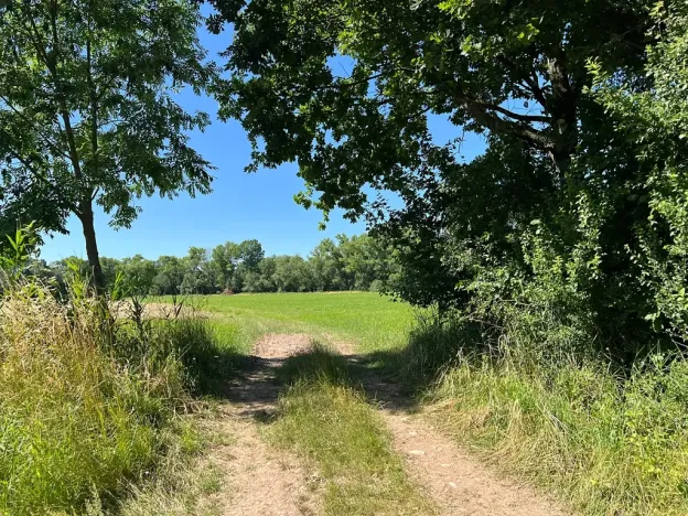 Prodej louky, Šestajovice, 3641 m2