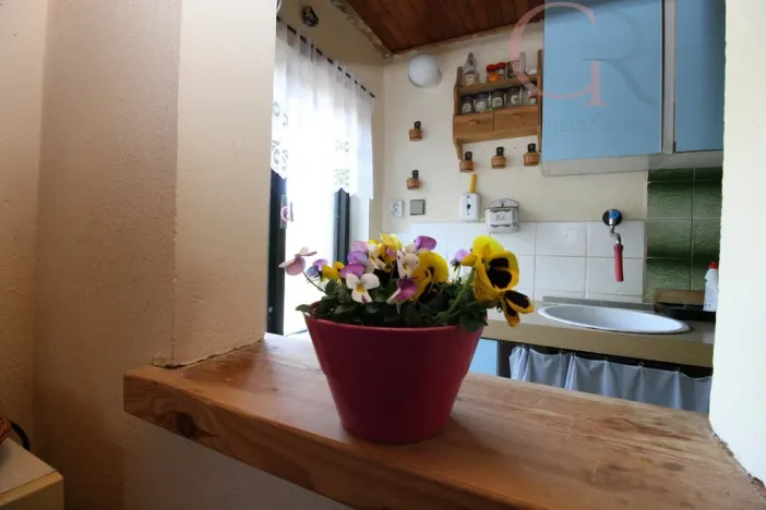 Prodej chaty, Hromnice - Planá, 66 m2