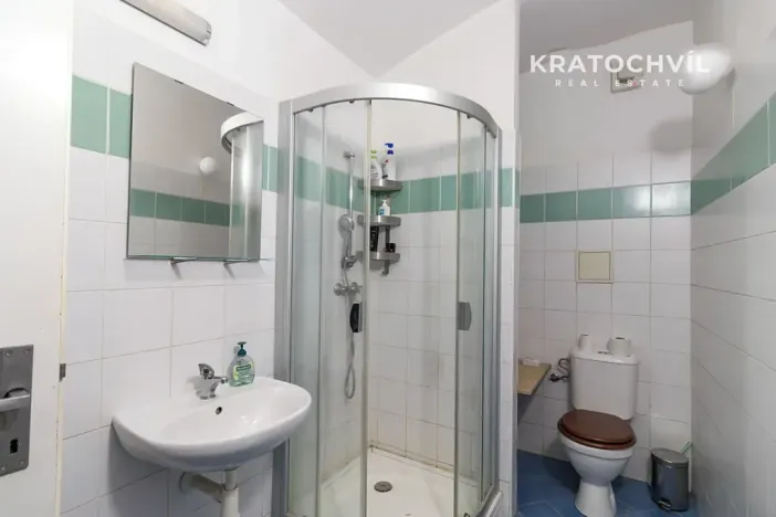 Prodej bytu 1+kk, Praha - Karlín, Březinova, 50 m2