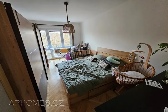 Pronájem bytu 3+kk, Praha - Žižkov, Biskupcova, 78 m2