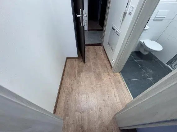 Pronájem bytu 1+kk, Praha - Střešovice, Na Petynce, 32 m2