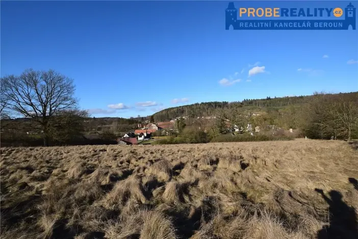 Prodej pozemku pro bydlení, Mirotice, 9991 m2