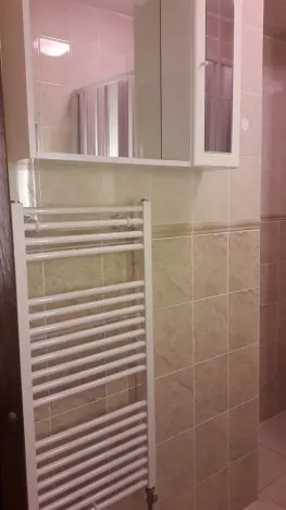 Prodej bytu 2+1, Karlovy Vary, Lázeňská, 71 m2