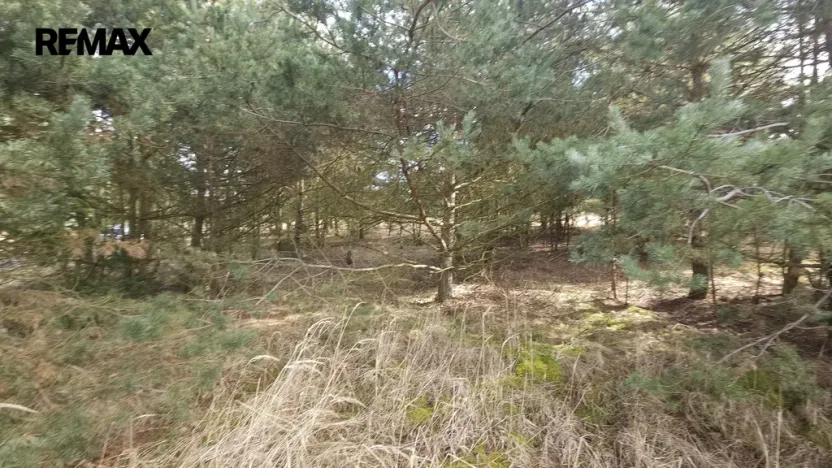 Prodej pozemku pro bydlení, Olešná, 1249 m2