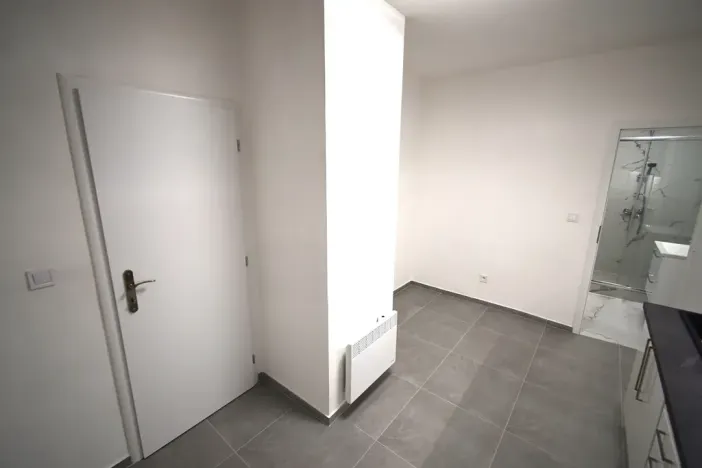 Prodej bytu 2+1, Praha - Nusle, U družstva Ideál, 47 m2