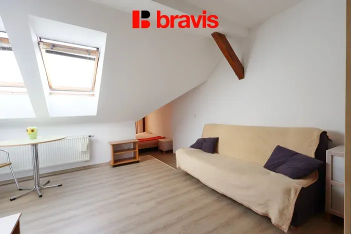 Pronájem bytu 1+kk, Brno, Palackého třída, 28 m2